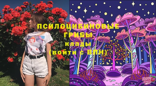 сатива Алзамай